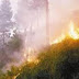 Bakar Sampah, Kakek 72 Tahun Tewas Terbakar di Surabaya