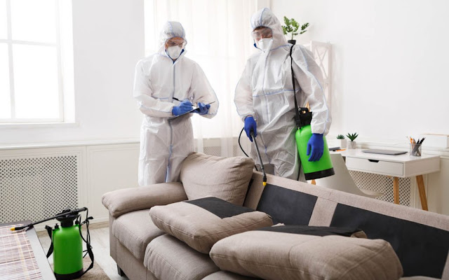 Guaranteed pest control services in Hills District with no hassle for you