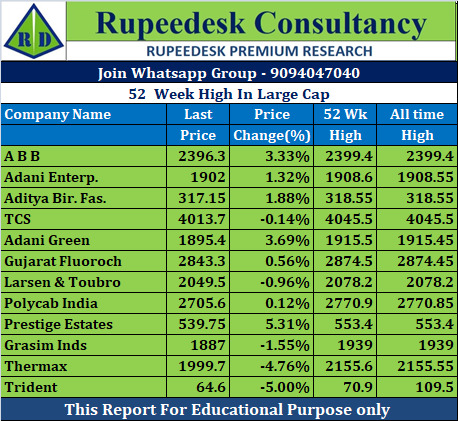 52  Week High In Large Cap