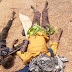 Kwara Kidnap Victims Rescued, Abductors Killed In Gun Fight