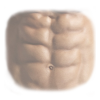 Six pack abs