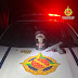 Um homem de 41 anos foi flagrado trafegando com uma arma de fogo na área rural de Sobradinho