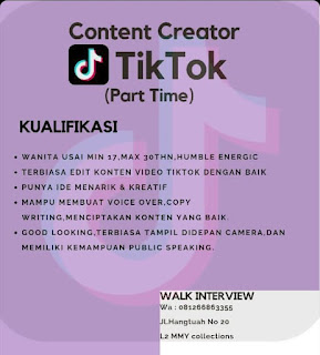 Content Creator di TikTok