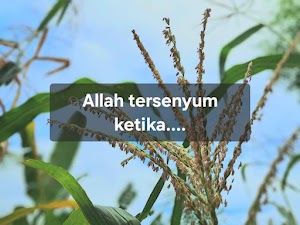 "Habis Bikin Allah Tersenyum" Ucapnya 