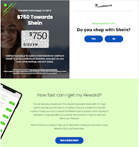 US - Shein 750$