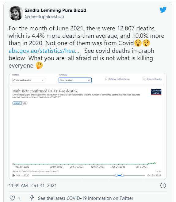 Twitter Post about non-covid deaths