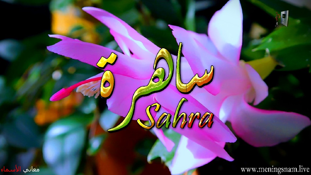 معنى اسم, ساهرة , وصفات, حاملة , هذا الاسم , Sahra,