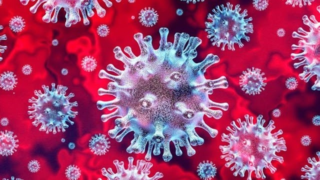 URGENTE - Nova variante do Coronavírus é confirmada em São Paulo