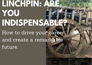 Linchpin: Are you indispensable? How to drive your career and create a remarkable future.