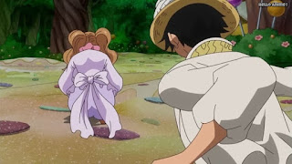 ワンピースアニメ WCI編 795話 | ONE PIECE Episode 795