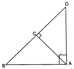 Solutions Class 10 गणित Chapter-6 (त्रिभुज)