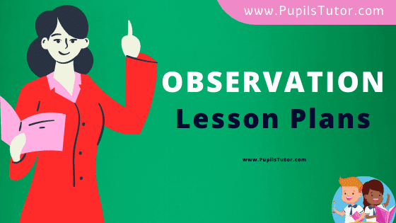 Observation Lesson Plan For B.Ed, DE.L.ED, BTC, M.Ed 1st 2nd Year And Class 6th To 10th Science, Social Science, Math And Hindi Teacher Free Download PDF On  Skill - www.pupilstutor.com