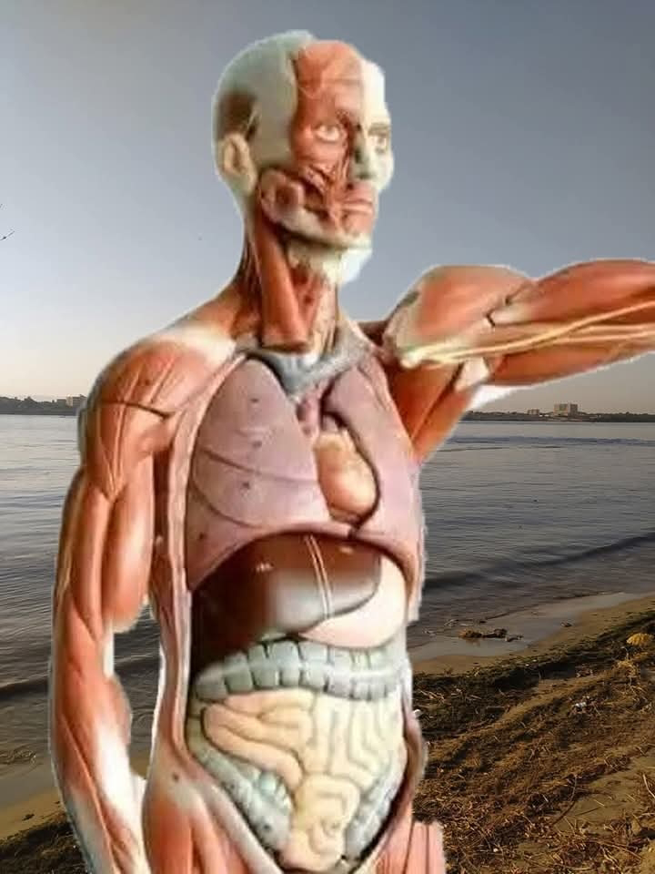 صورة