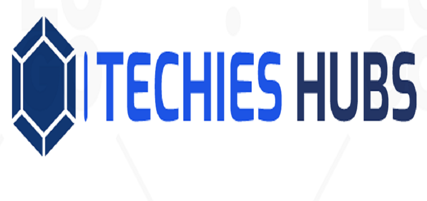 Techies Hubs