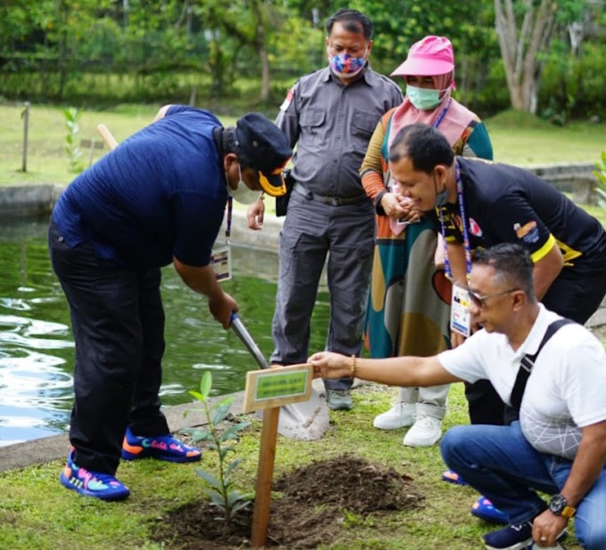 Suhatri Bur  Kepala Daerah Pertama Tanam Pohon Di Kawasan Reclamation and Biodiversity PTFI Timika Papua