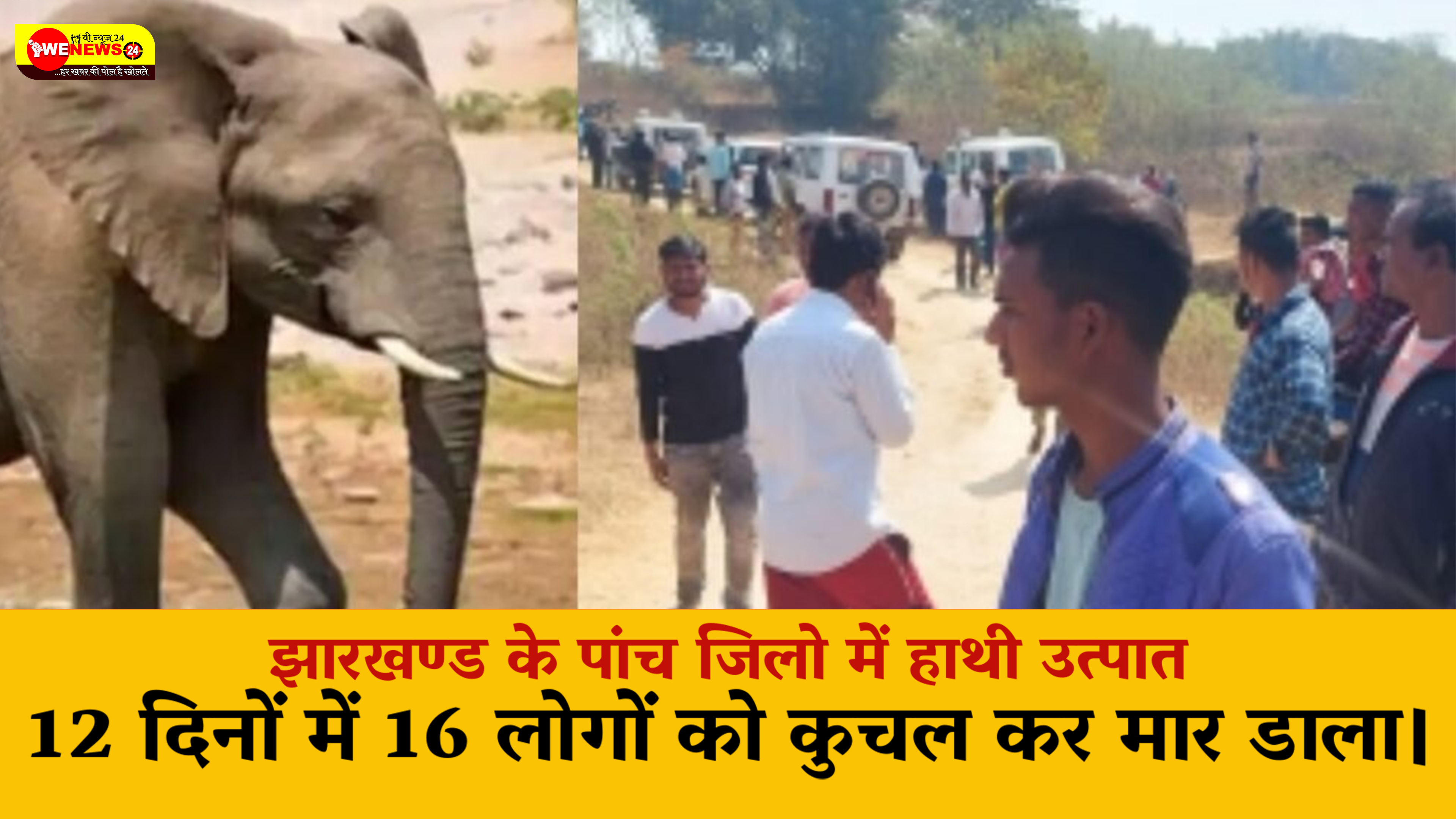 झारखंड में आवारा हाथी ने मचाया उत्पात , 12 दिनों में पांच जिलों के 16 लोगों को कुचल कर मार डाला।