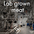 Carne cultivada em laboratório, uma solução míope para um problema que não existe.