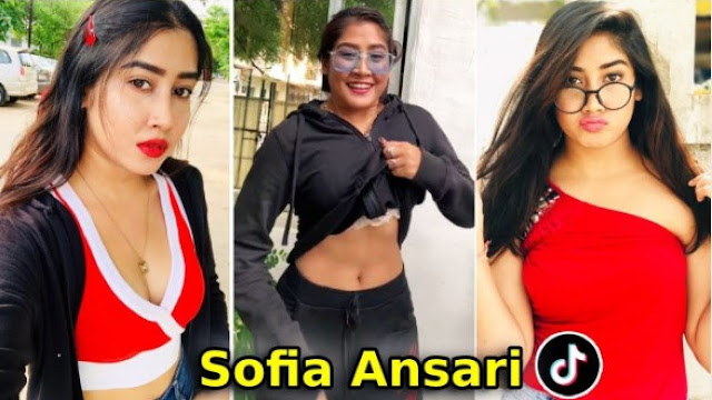 What was the most shocking truth about Sofia Ansari ?