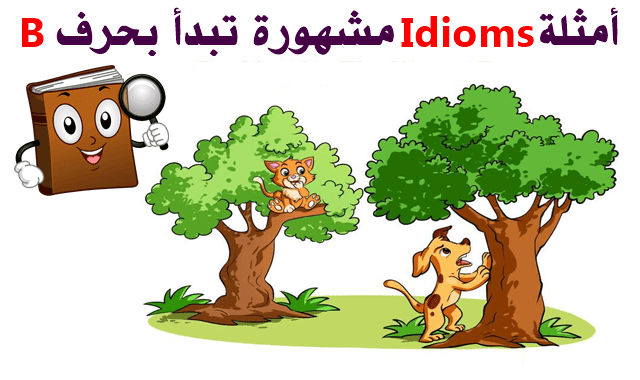تعريف idioms وشرح معناها في اللغة الانجليزية والعربية