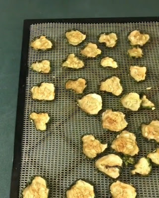 How to make cucumber chips in dehydrator