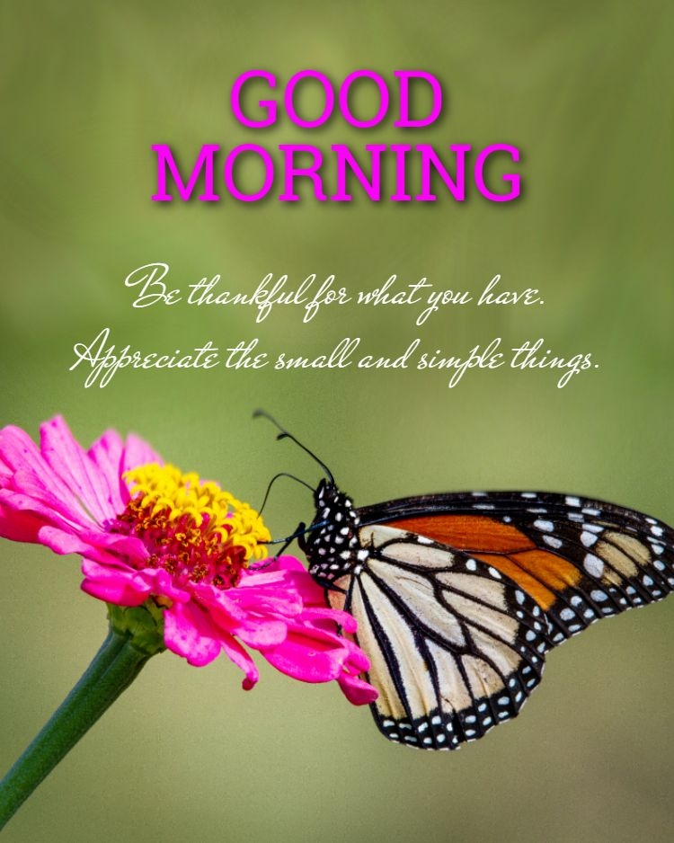 good morning photo 3gp download, good morning photo today date, good morning photo or shayari, good morning photo achha achha, good morning photo to my love