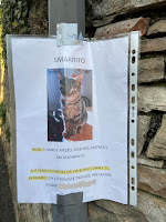 Smarrito Mori - Lost cat poster