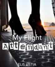 Novel My Flight Attendant Karya Cindereliss Full Episode