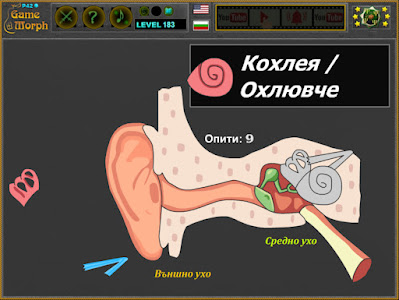 Анатомия на Ухото Пъзел