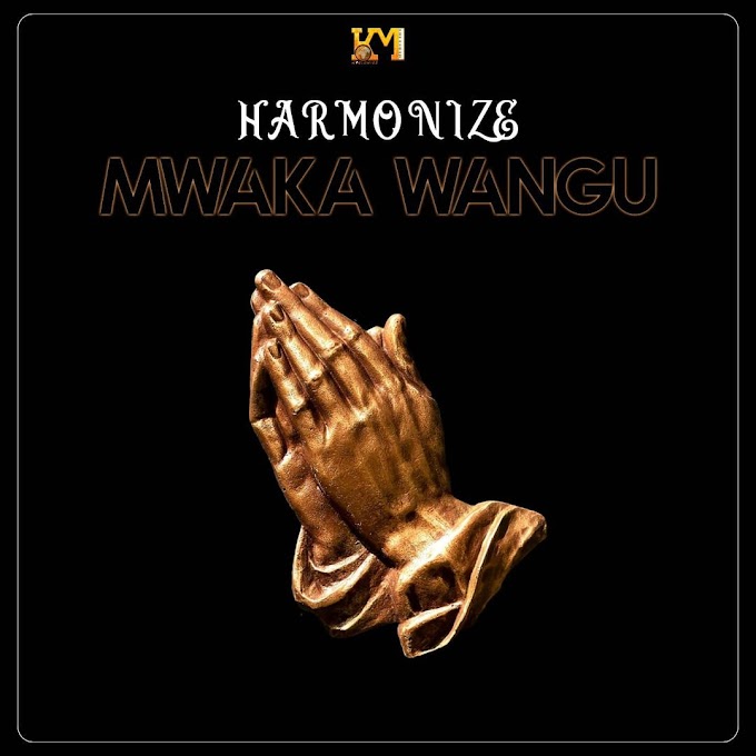 Audio Harmonize - Mwaka Wangu Mp3