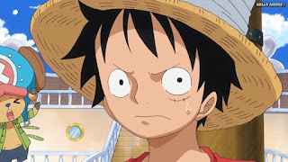 ワンピースアニメ 779話 ルフィ Monkey D. Luffy | ONE PIECE Episode 779