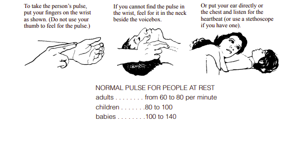 pulse check