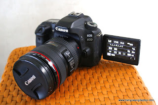 Jual Kamera Canon EOS 80D -Wifi Banyuwangi