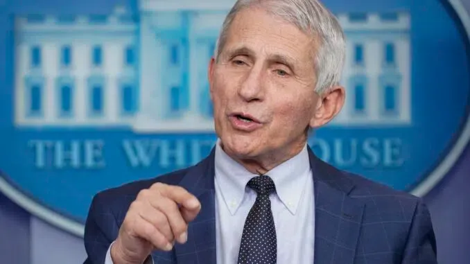 Fauci Says Americans Should Ask Christmas Guests To Show Proof Of Vaccination