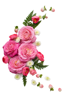 Rose Flowers Transparent Image