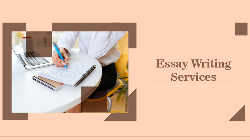 Tips for Writing an Essay for Beginners