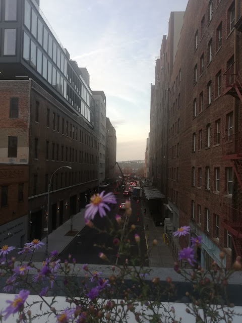 Highline, New York, NYC