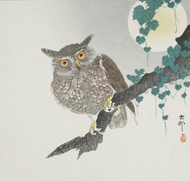 Как будет сова на китайском. Охара Косон картины Сова. Японский художник Охара Косон. Сова японская гравюра. Сова китайская живопись.