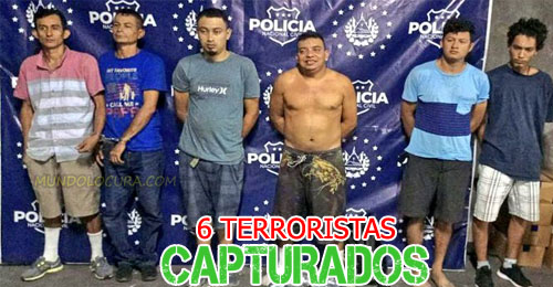 El Salvador: Equipos de inteligencia y STO capturan a 6 terroristas de la MS13 de la clica Bosques Locos Salvatruchos