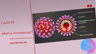 What is corona virus covid-19?