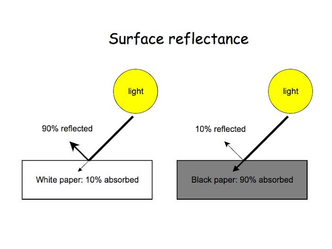 IMAGE PROCESSING | Unit 1