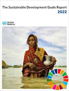 UN SDG Report 2022