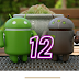 Android 12 resmi diluncurkan