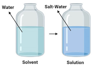 What is a Solvent