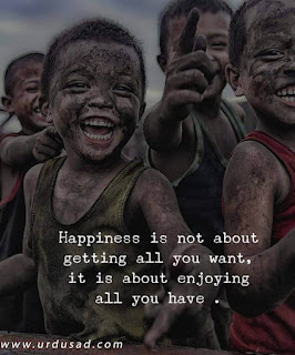 Happiness is not about