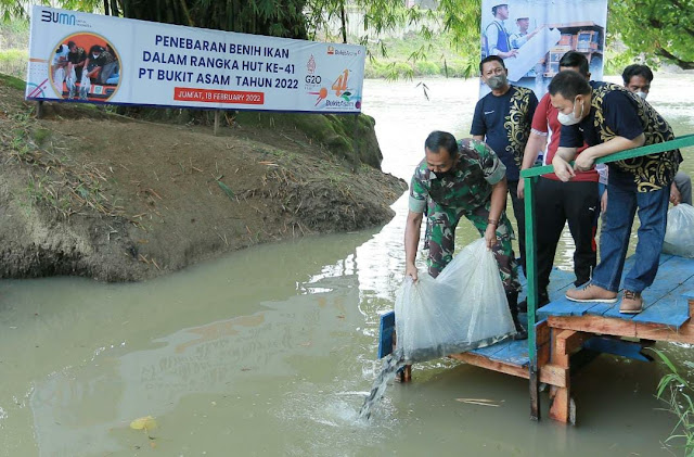 Peringati HUT ke-41 PT PTBA Lakukan Penebaran 16 ribu ekor benih ikan. 