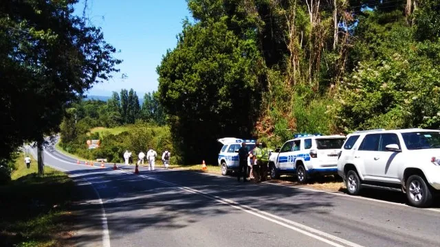 🚨Encuentran cuerpo calcinado en ruta Puerto Octay-Frutillar