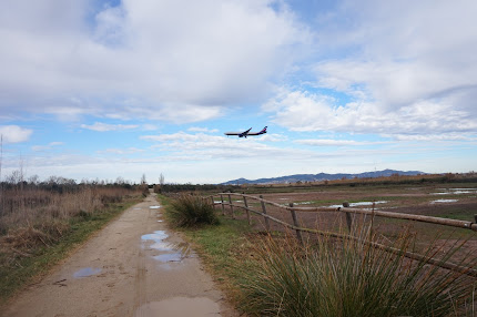 Delta del Llobregat, gener 2022