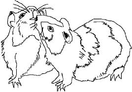 Best animal mating coloring pages