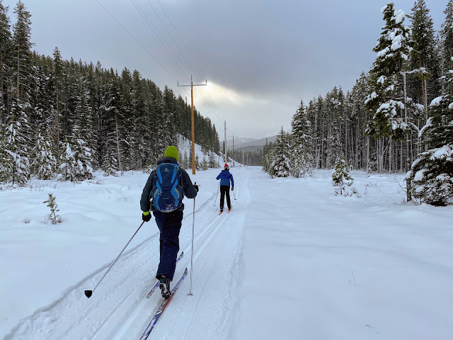 Family Adventures in the Canadian Rockies: Cross-country Skiing along ...