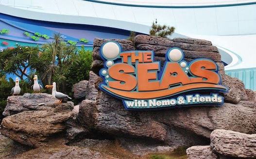 One out of the largest aquariums in the world is Seas with Nemo & Friends.